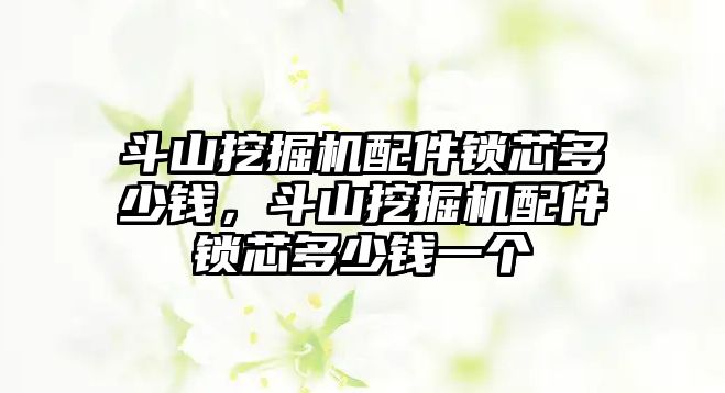 斗山挖掘機配件鎖芯多少錢，斗山挖掘機配件鎖芯多少錢一個