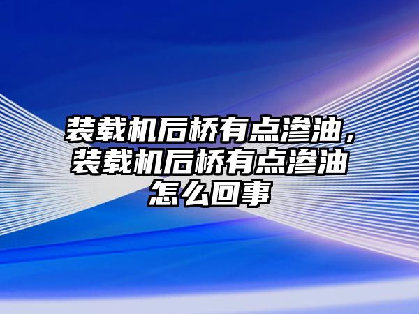 裝載機后橋有點滲油，裝載機后橋有點滲油怎么回事