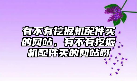 有不有挖掘機配件買的網(wǎng)站，有不有挖掘機配件買的網(wǎng)站呀