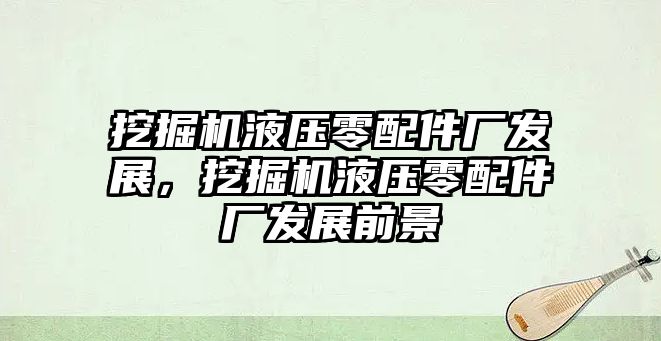 挖掘機液壓零配件廠發(fā)展，挖掘機液壓零配件廠發(fā)展前景