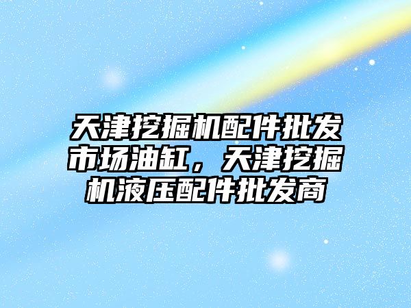 天津挖掘機配件批發(fā)市場油缸，天津挖掘機液壓配件批發(fā)商