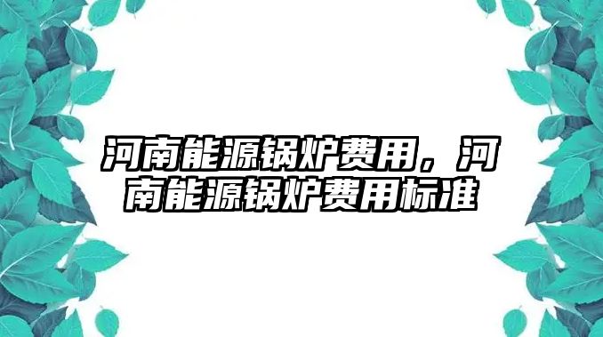 河南能源鍋爐費(fèi)用，河南能源鍋爐費(fèi)用標(biāo)準(zhǔn)