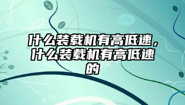 什么裝載機(jī)有高低速，什么裝載機(jī)有高低速的