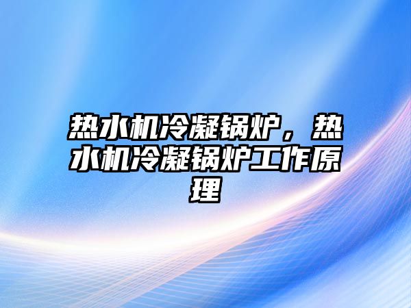 熱水機冷凝鍋爐，熱水機冷凝鍋爐工作原理