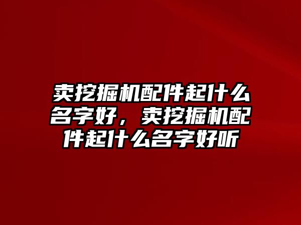 賣挖掘機配件起什么名字好，賣挖掘機配件起什么名字好聽