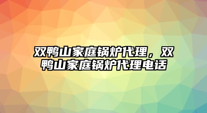 雙鴨山家庭鍋爐代理，雙鴨山家庭鍋爐代理電話