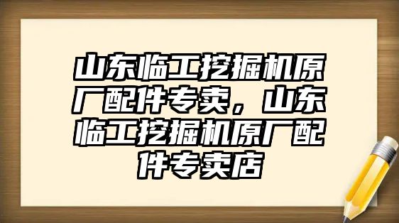 山東臨工挖掘機(jī)原廠配件專賣，山東臨工挖掘機(jī)原廠配件專賣店