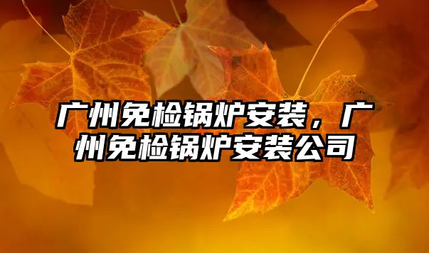 廣州免檢鍋爐安裝，廣州免檢鍋爐安裝公司