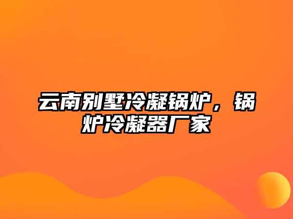 云南別墅冷凝鍋爐，鍋爐冷凝器廠家