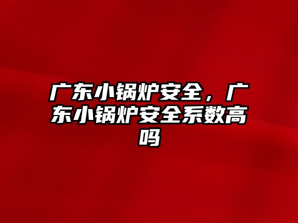 廣東小鍋爐安全，廣東小鍋爐安全系數(shù)高嗎