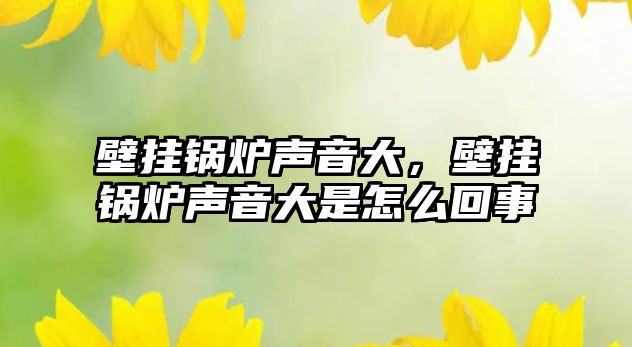 壁掛鍋爐聲音大，壁掛鍋爐聲音大是怎么回事