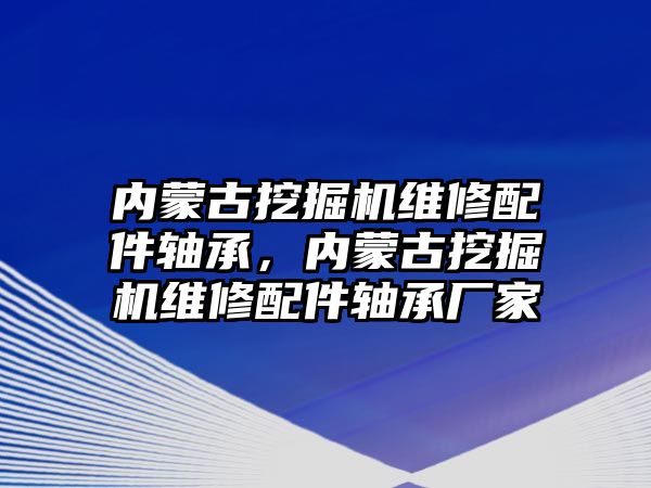 內(nèi)蒙古挖掘機維修配件軸承，內(nèi)蒙古挖掘機維修配件軸承廠家