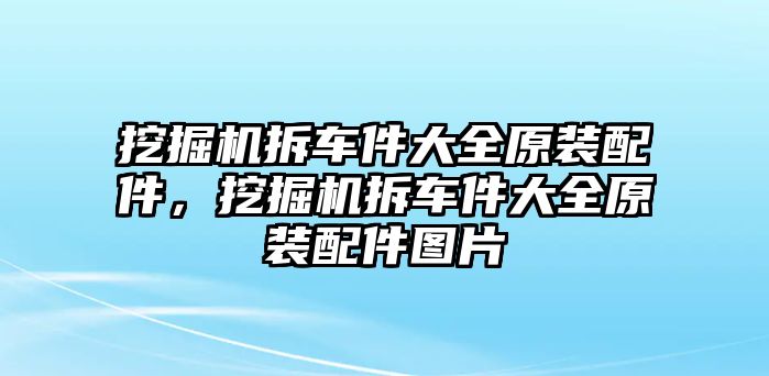 挖掘機(jī)拆車件大全原裝配件，挖掘機(jī)拆車件大全原裝配件圖片