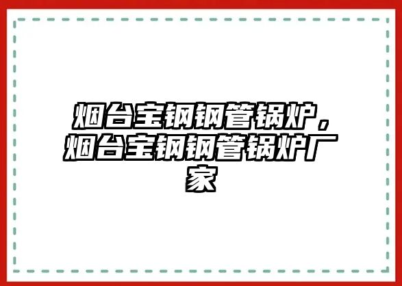 煙臺寶鋼鋼管鍋爐，煙臺寶鋼鋼管鍋爐廠家