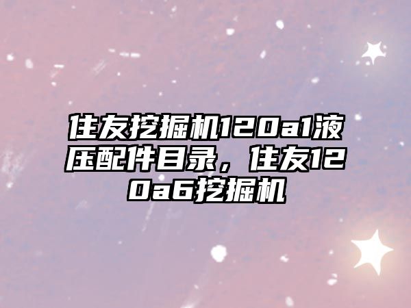 住友挖掘機(jī)120a1液壓配件目錄，住友120a6挖掘機(jī)