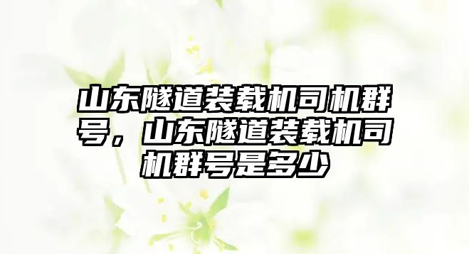 山東隧道裝載機(jī)司機(jī)群號(hào)，山東隧道裝載機(jī)司機(jī)群號(hào)是多少