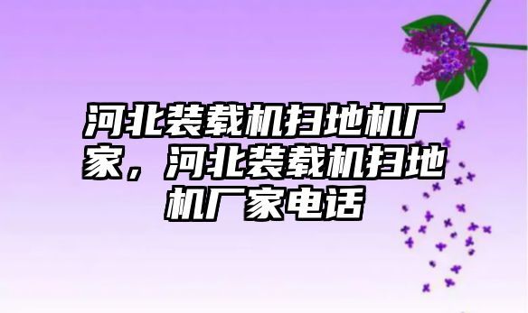 河北裝載機(jī)掃地機(jī)廠家，河北裝載機(jī)掃地機(jī)廠家電話