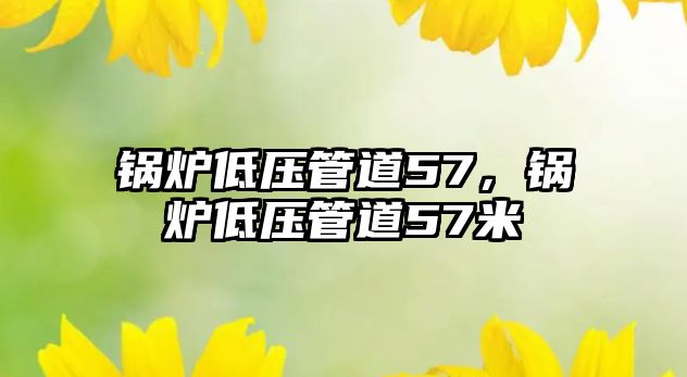 鍋爐低壓管道57，鍋爐低壓管道57米