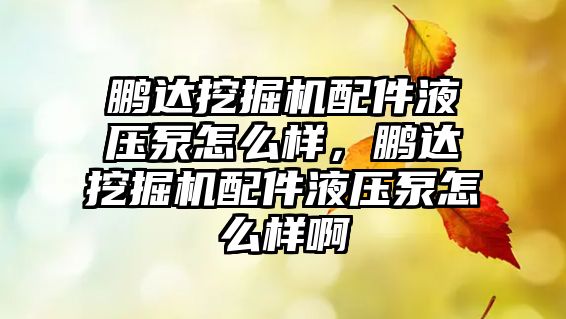 鵬達挖掘機配件液壓泵怎么樣，鵬達挖掘機配件液壓泵怎么樣啊