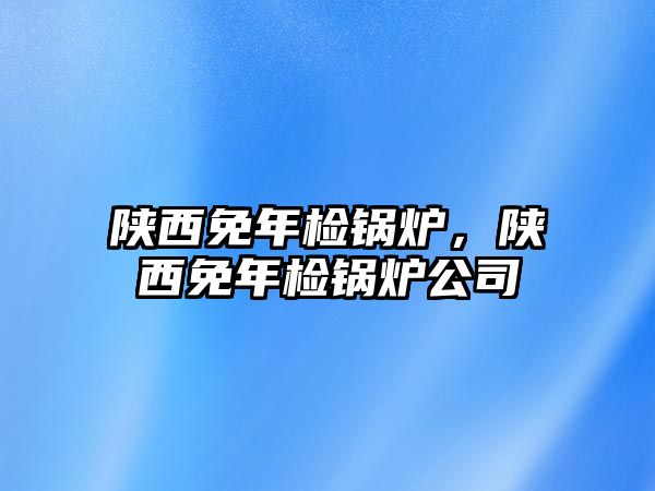 陜西免年檢鍋爐，陜西免年檢鍋爐公司