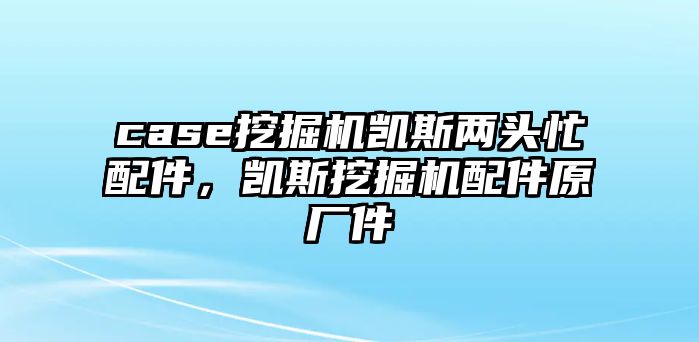 case挖掘機(jī)凱斯兩頭忙配件，凱斯挖掘機(jī)配件原廠件