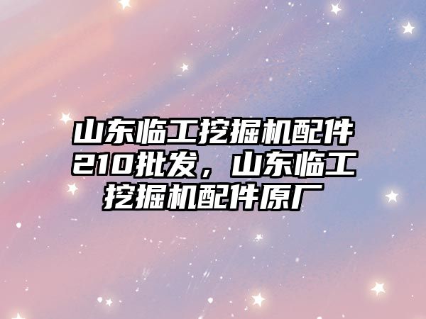 山東臨工挖掘機配件210批發(fā)，山東臨工挖掘機配件原廠