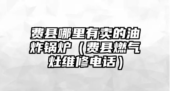 費縣哪里有賣的油炸鍋爐（費縣燃?xì)庠罹S修電話）