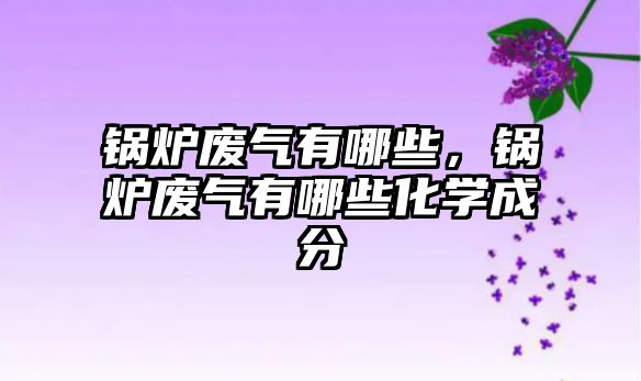 鍋爐廢氣有哪些，鍋爐廢氣有哪些化學(xué)成分