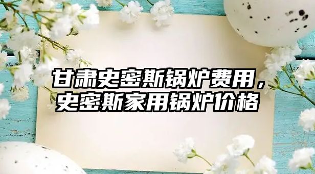 甘肅史密斯鍋爐費用，史密斯家用鍋爐價格