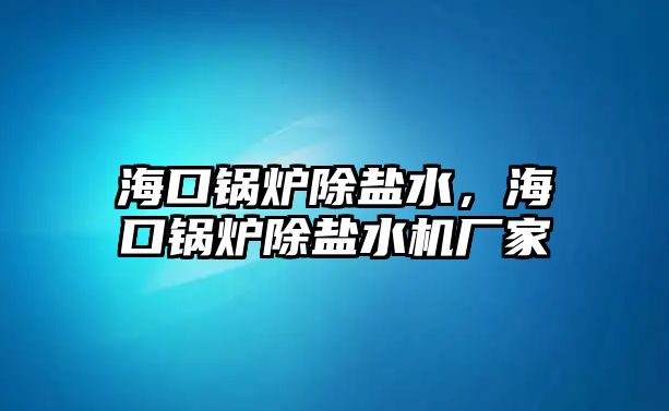 ?？阱仩t除鹽水，?？阱仩t除鹽水機(jī)廠家