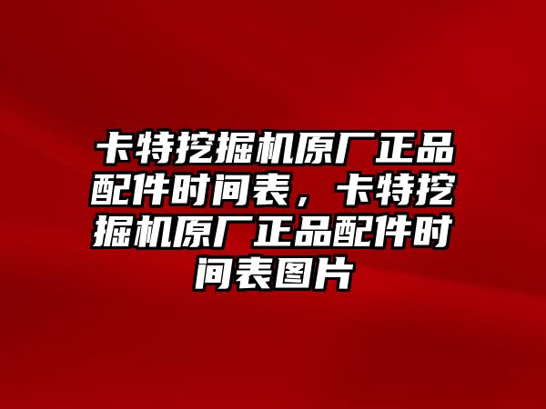 卡特挖掘機(jī)原廠正品配件時間表，卡特挖掘機(jī)原廠正品配件時間表圖片