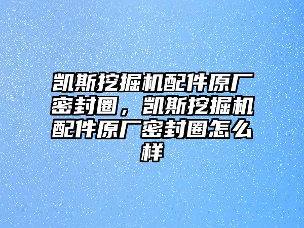 凱斯挖掘機配件原廠密封圈，凱斯挖掘機配件原廠密封圈怎么樣