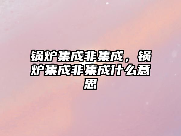 鍋爐集成非集成，鍋爐集成非集成什么意思