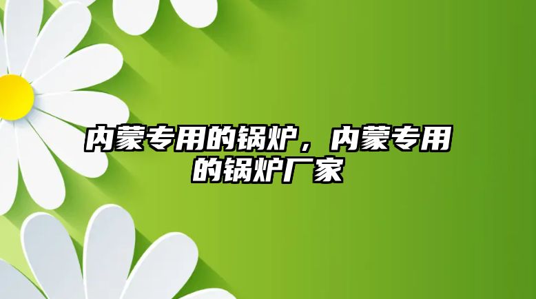 內(nèi)蒙專用的鍋爐，內(nèi)蒙專用的鍋爐廠家