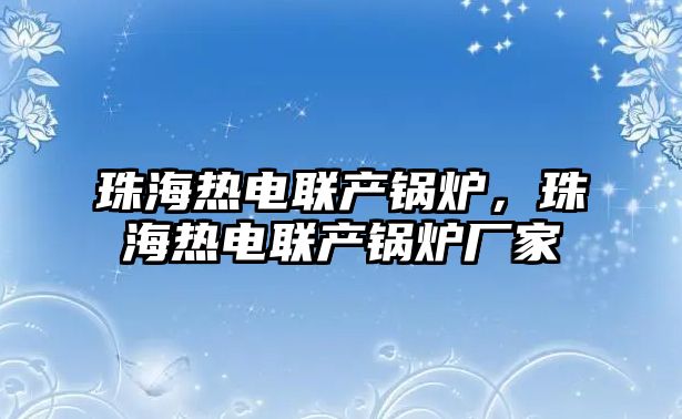 珠海熱電聯(lián)產(chǎn)鍋爐，珠海熱電聯(lián)產(chǎn)鍋爐廠家