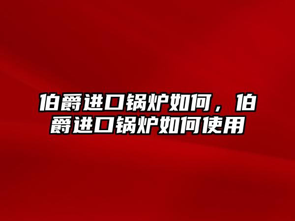 伯爵進(jìn)口鍋爐如何，伯爵進(jìn)口鍋爐如何使用