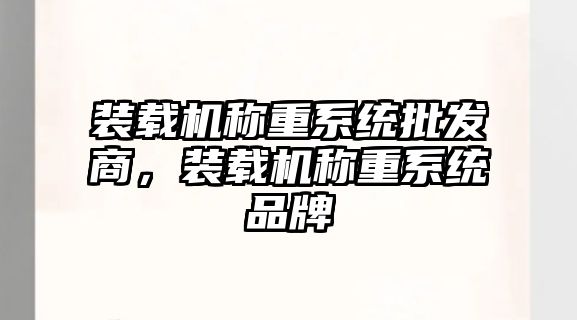 裝載機稱重系統(tǒng)批發(fā)商，裝載機稱重系統(tǒng)品牌