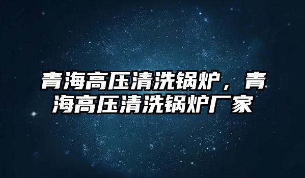 青海高壓清洗鍋爐，青海高壓清洗鍋爐廠家