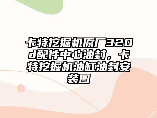 卡特挖掘機(jī)原廠320d配件中心油封，卡特挖掘機(jī)油缸油封安裝圖