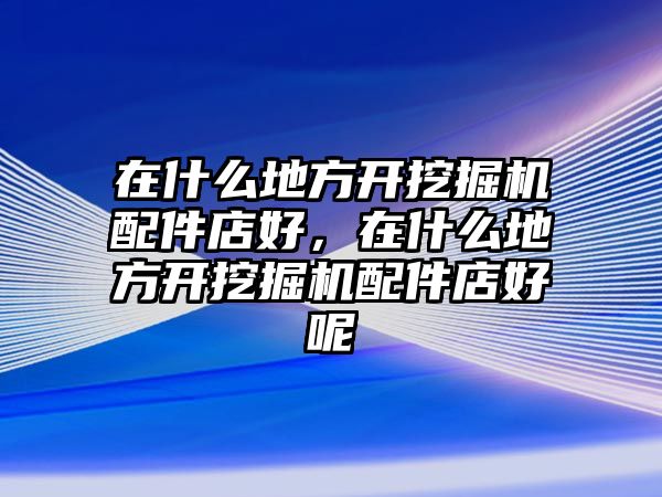 在什么地方開挖掘機(jī)配件店好，在什么地方開挖掘機(jī)配件店好呢