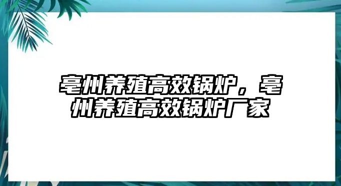 亳州養(yǎng)殖高效鍋爐，亳州養(yǎng)殖高效鍋爐廠家