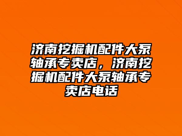 濟南挖掘機配件大泵軸承專賣店，濟南挖掘機配件大泵軸承專賣店電話