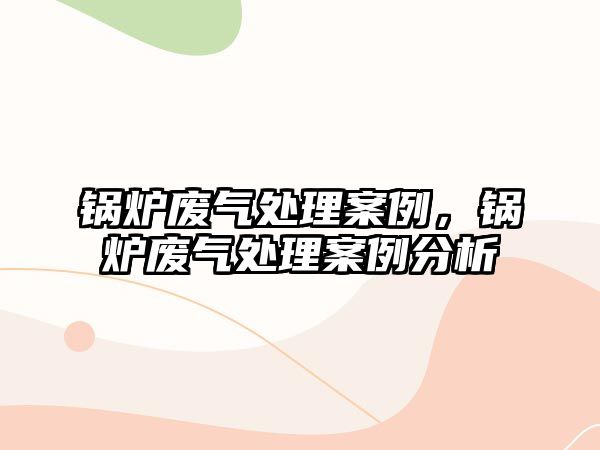 鍋爐廢氣處理案例，鍋爐廢氣處理案例分析