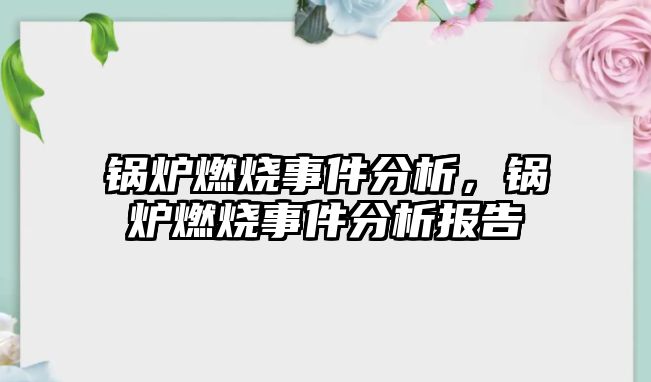 鍋爐燃燒事件分析，鍋爐燃燒事件分析報告