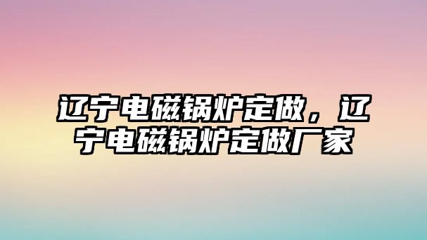 遼寧電磁鍋爐定做，遼寧電磁鍋爐定做廠家