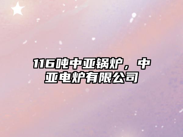 116噸中亞鍋爐，中亞電爐有限公司