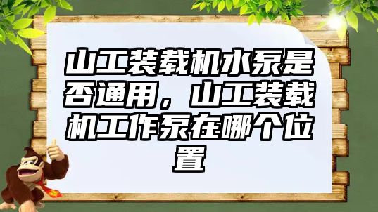 山工裝載機水泵是否通用，山工裝載機工作泵在哪個位置