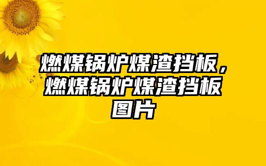 燃煤鍋爐煤渣擋板，燃煤鍋爐煤渣擋板圖片