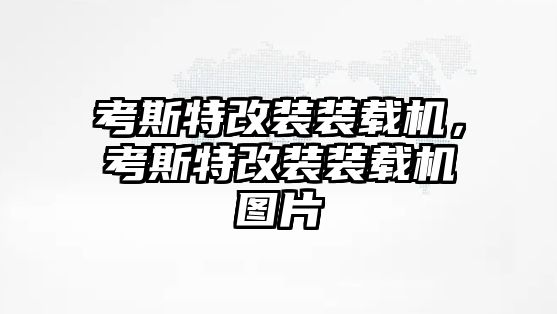 考斯特改裝裝載機(jī)，考斯特改裝裝載機(jī)圖片