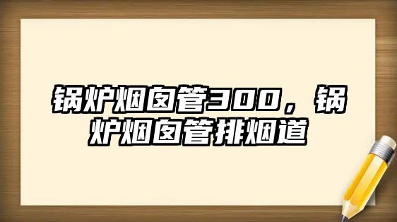 鍋爐煙囪管300，鍋爐煙囪管排煙道